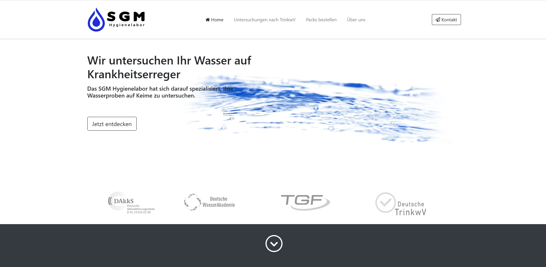 Screenshot eines Website- und Content-Projekts